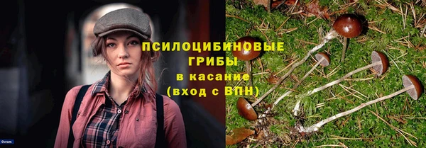 гашик Беломорск