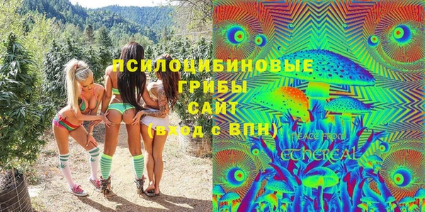 гашик Беломорск